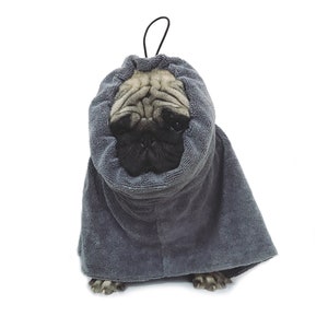 Pode incluir: Um cão da raça pug usando uma toalha com capuz cinza, olhando diretamente para a câmera.