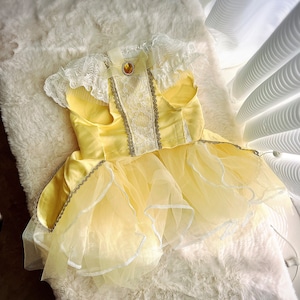 May include: A yellow tulle dress with a white lace bodice and a gold trim. The dress has a yellow satin bow on the back and a gold button with a yellow gem.
