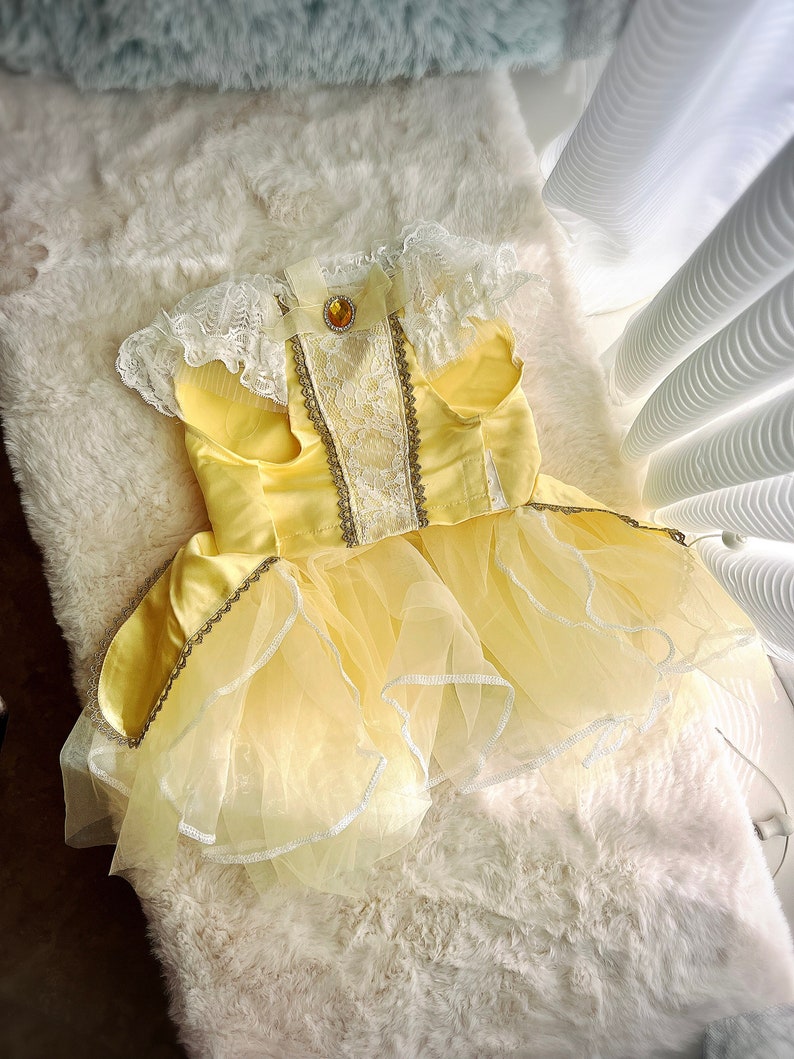 May include: A yellow tulle dress with a white lace bodice and a gold trim. The dress has a yellow satin bow on the back and a gold button with a yellow gem.