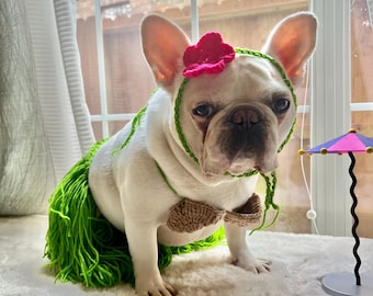 Hawaii-Kostüm Für Hunde – 3-teilig Mit Hemd, Sonnenbrille & Kranz, Für Kleine Bis Mittelgroße Hunde