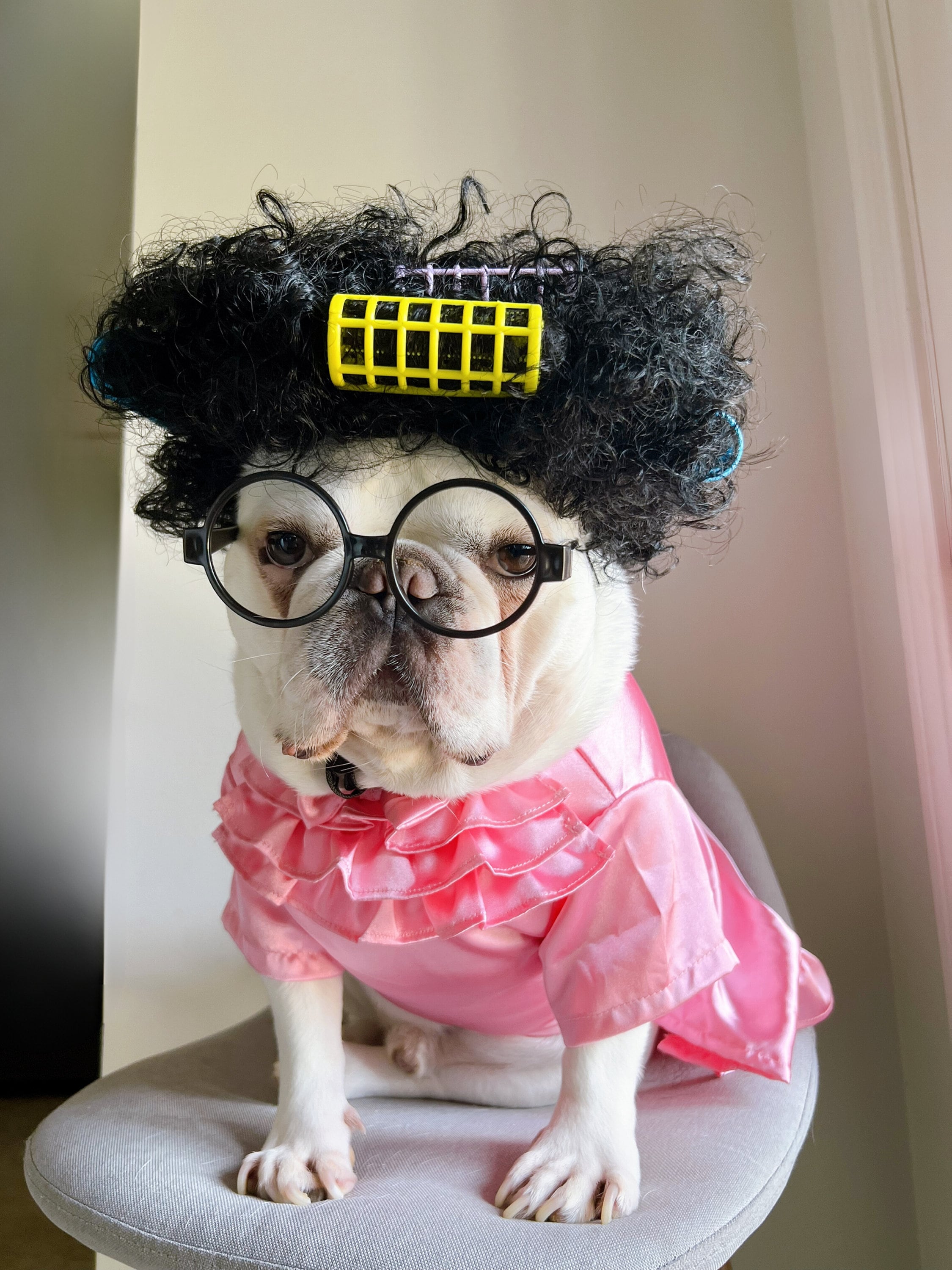 dog halloween headpiece