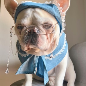 dog dressed as old lady Granny Costume grandma dog costume