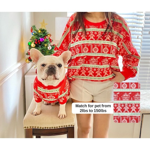 Big dog christmas jumper 2025