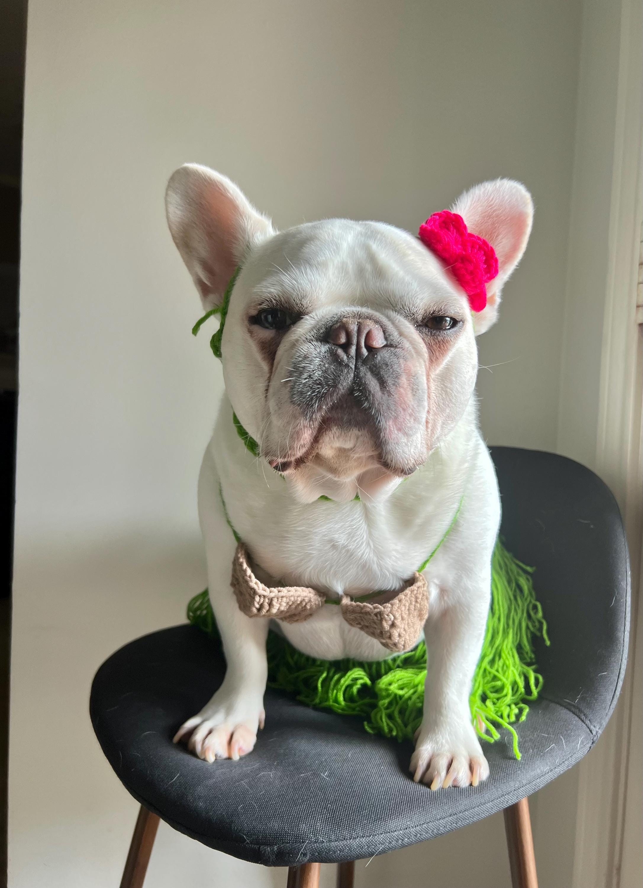 新品 オリバーガル OliverGal Headband Frenchie il_fullxfull.6251059532_6p5w.jpg