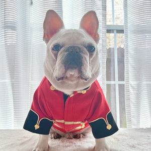 Op de afbeelding: Een witte Franse bulldog die een rood, zwart en gouden jasje in militaire stijl draagt. De hond zit op een wit, pluche oppervlak.