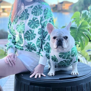 May include: A white French bulldog wearing a green and white tropical leaf print shirt, sitting on a black plastic container, next to a person wearing a similar shirt.
