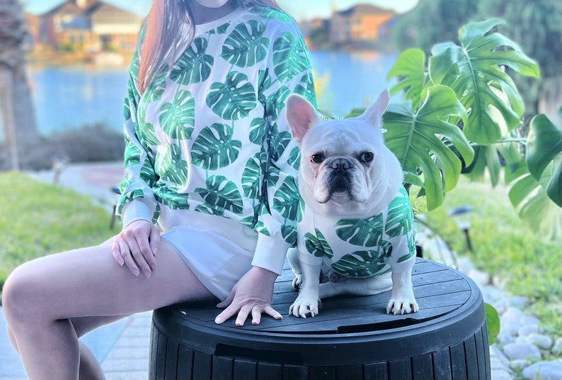 May include: A white French bulldog wearing a green and white tropical leaf print shirt, sitting on a black plastic container, next to a person wearing a similar shirt.