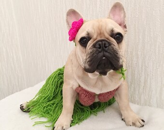 Hawaii-Kostüm Für Haustiere – Mit Hut, Halstuch, Sonnenbrille & Sonnenblume, Rosa, Sommer-Outfit