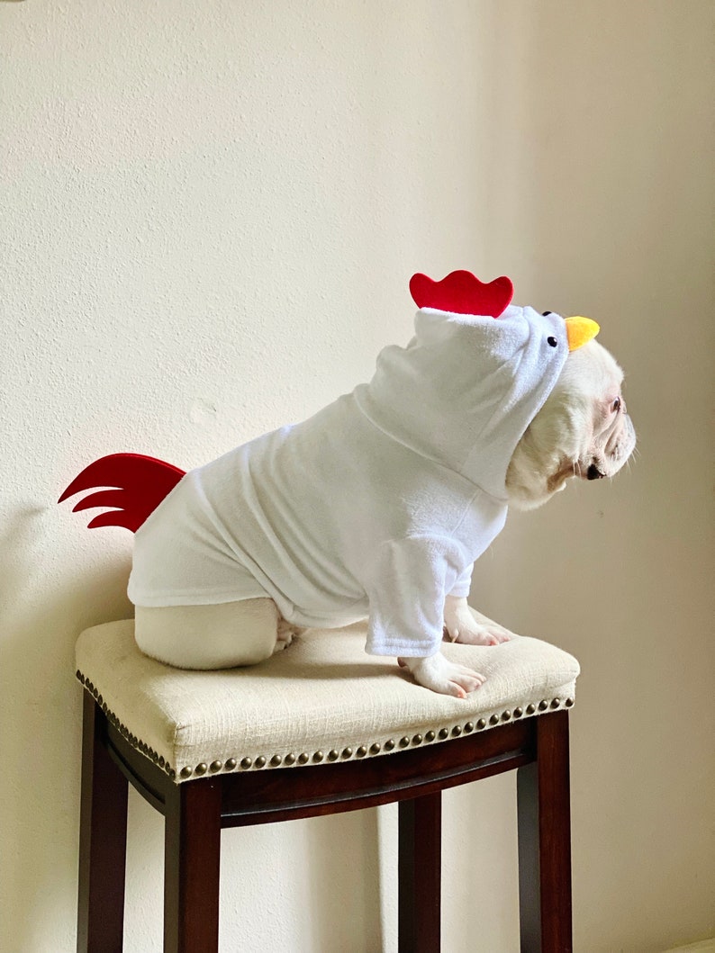 Dog Cat Pet Puppy Rooster Chicken Hen 3D Tail and Comb Hooded Costume Pullover Sweatshirt Hoodie Sweater image 6