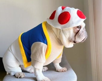 May include: A white French bulldog wearing a blue, yellow, and white costume with a red and white mushroom hat.