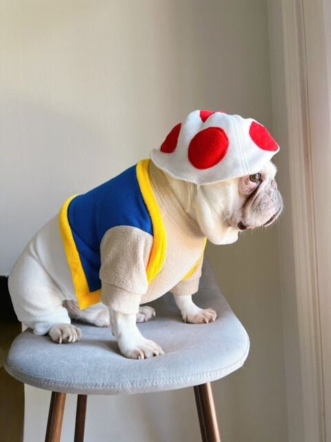 Funny pitbull costumes online