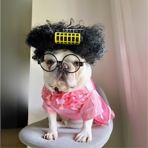 Mormors husdjurskostym: Rosa pyjamasnattlinne, peruk med rullar, glasögon