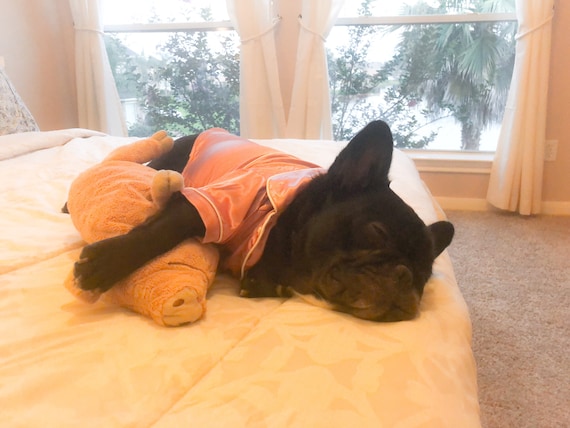 Dog Cat Silk Satin Button PJ Pajamas Sleepwear Bridesmaid Pajama