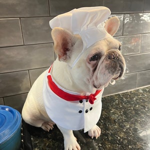 Halloween Chef Dog Cat Pet Costume, Kitchen Helper Assistant Costume image 2