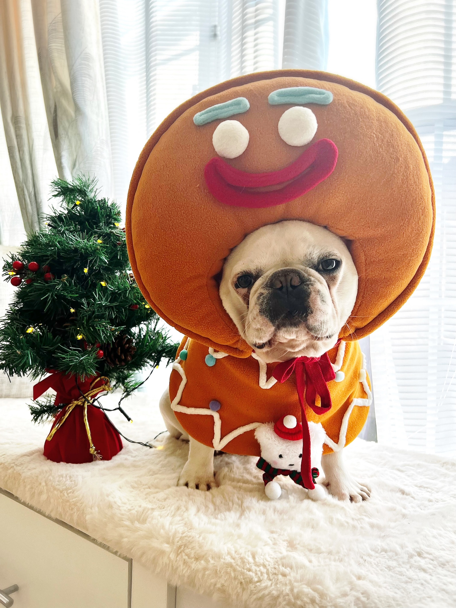 Pet Dog Cat Christmas Gingerbread Man Costume Mascot, Holidays Costume ...