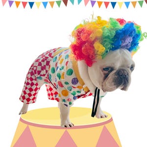 Halloween Carnival Clown Pup Pet Dog Cat Costume, Circus Theme Dress Up, Checkered Overall and Polka Dot Shirt with Colorful Wig
