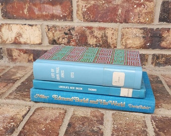 Set of Blue Vintage Books - Light Blue Books - Decorative Books - Staging Books - Color Bundle - Stack of Books - Blue Décor - Book Stack