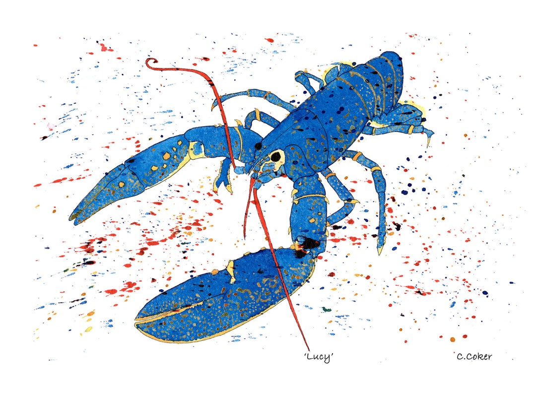 Unframed Lucy the Lobster Etsy UK