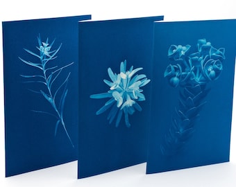 Botanical Greeting Cards - set n.1