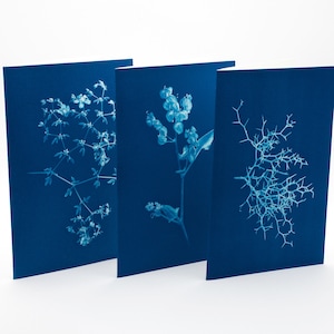 Kartki botaniczne - zestaw nr 2