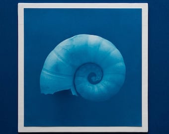 Colección de macros - Spirula