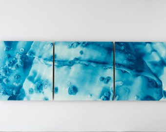 Large triptych "Triton detail" cyanotype print