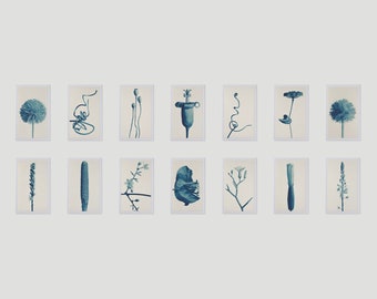 Botanical Treasures - Special Edition (14 prints)