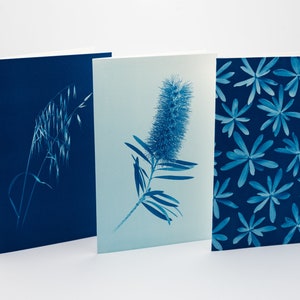 Cartes de voeux botaniques - set n.4