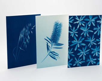 Botanical Greeting Cards - set n.4