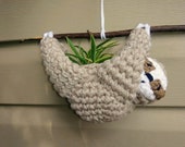 Sloth Plant Holder Sloth Planter Hanging Succulent Planter Crochet Sloth Sloth Plant Holder Birthday Gift Summer Air Plant