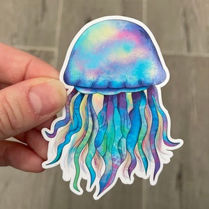 Colorful Jellyfish rainbow sticker, Matte laminated, water/UV resistant, 3 inches tall, one sticker