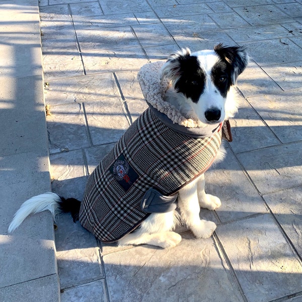 Manteau écossais pour grand chien