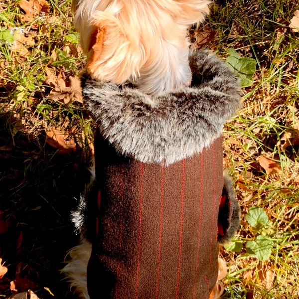 Manteau pour petit chien TS