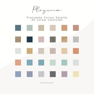Procreate Color Palette | Color Palette | Digital Color Palette | Color Swatches | iPad Procreate Tools | Colors for Procreate | Playroom