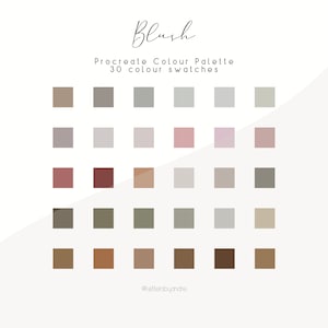 Procreate Color Palette | Color Palette | Digital Color Palette | Color Swatches | iPad Procreate Tools | Colors for Procreate | Blush