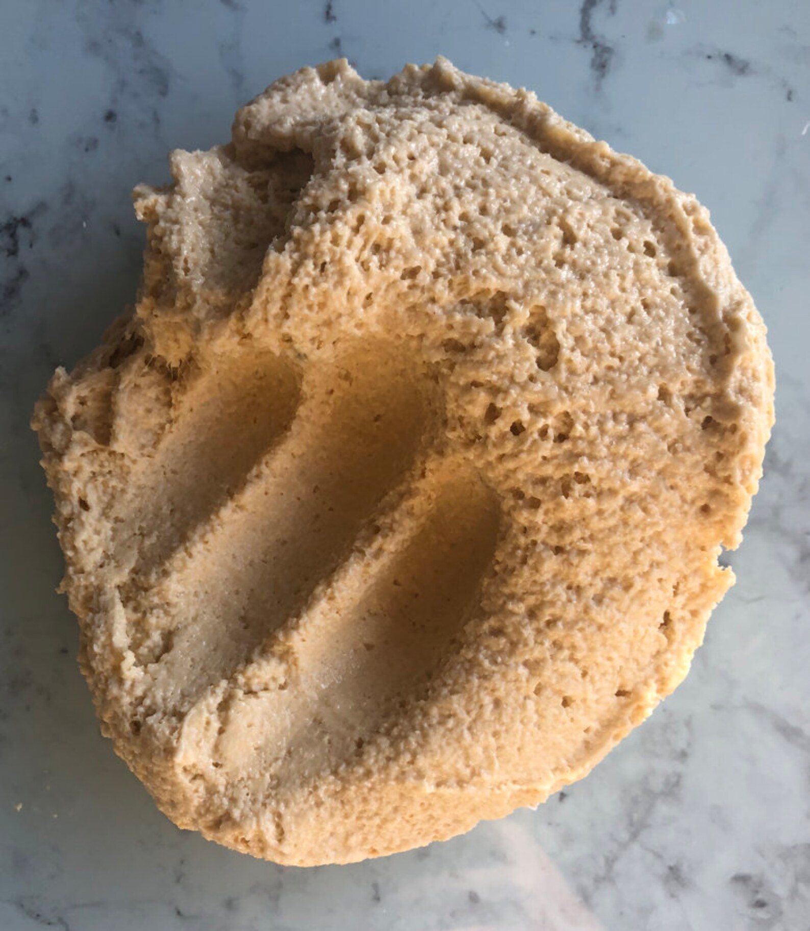 Vanilla Biscuit Crumbs Etsy