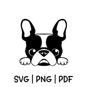 Französische Bulldogge SVG geschnitten Datei, PNG, PDF, niedlicher Hund schneiden Datei, Cricut, Silhouette, Vektor Bild, Clipart