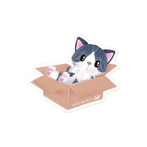 Pegatina de vinilo de gatito en una caja