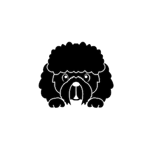 Caniche - Autocollant vinyle, Mignon Chien Peeking, Labradoodle, Cavoodle, Doodle