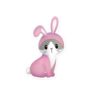 May include: A pink bunny costume with long ears and a white fluffy tail. The costume is worn by a gray and white cat with black eyes.