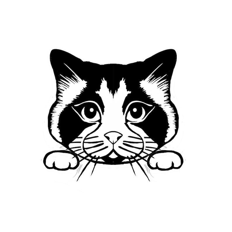 Ragdoll Cat Peeking Decal