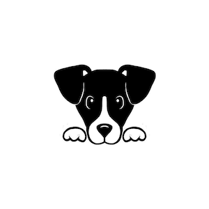 Jack Russell Terrier Peeking Decal