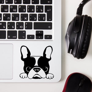 French Bulldog Peekaboo Vinyl Decal, Frenchie Head Peeking Over