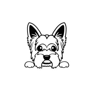Yorkshire Terrier Peekaboo Vinyl Aufkleber, Yorkie Kopf späht über, niedlicher Hund Aufkleber