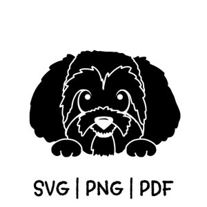 Shih Tzu SVG PNG PDF Cut File, Chien mignon regardant par-dessus, Fichier de coupe, Cricut, Silhouette