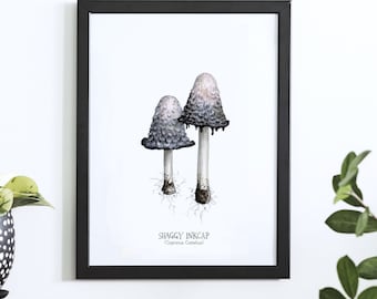 Ink Cap Mushroom print