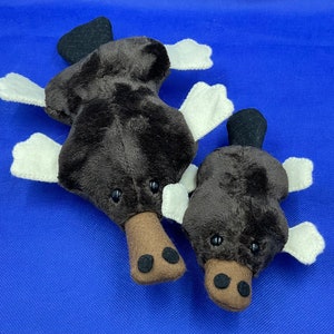 Mummy and Baby Platypus