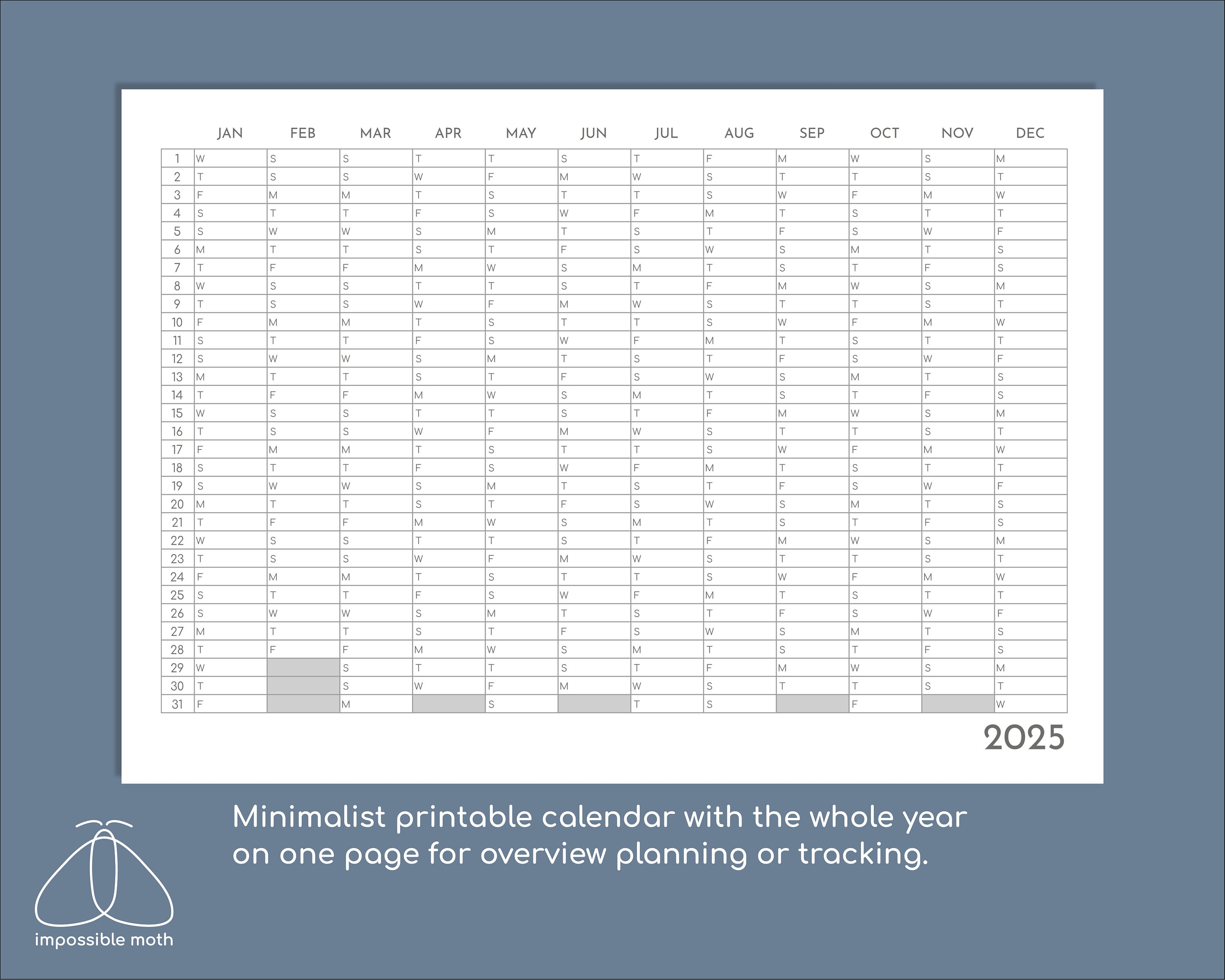 2025 Planner Printable, Yearly Tracker, YO1P, A4 and Letter Versions