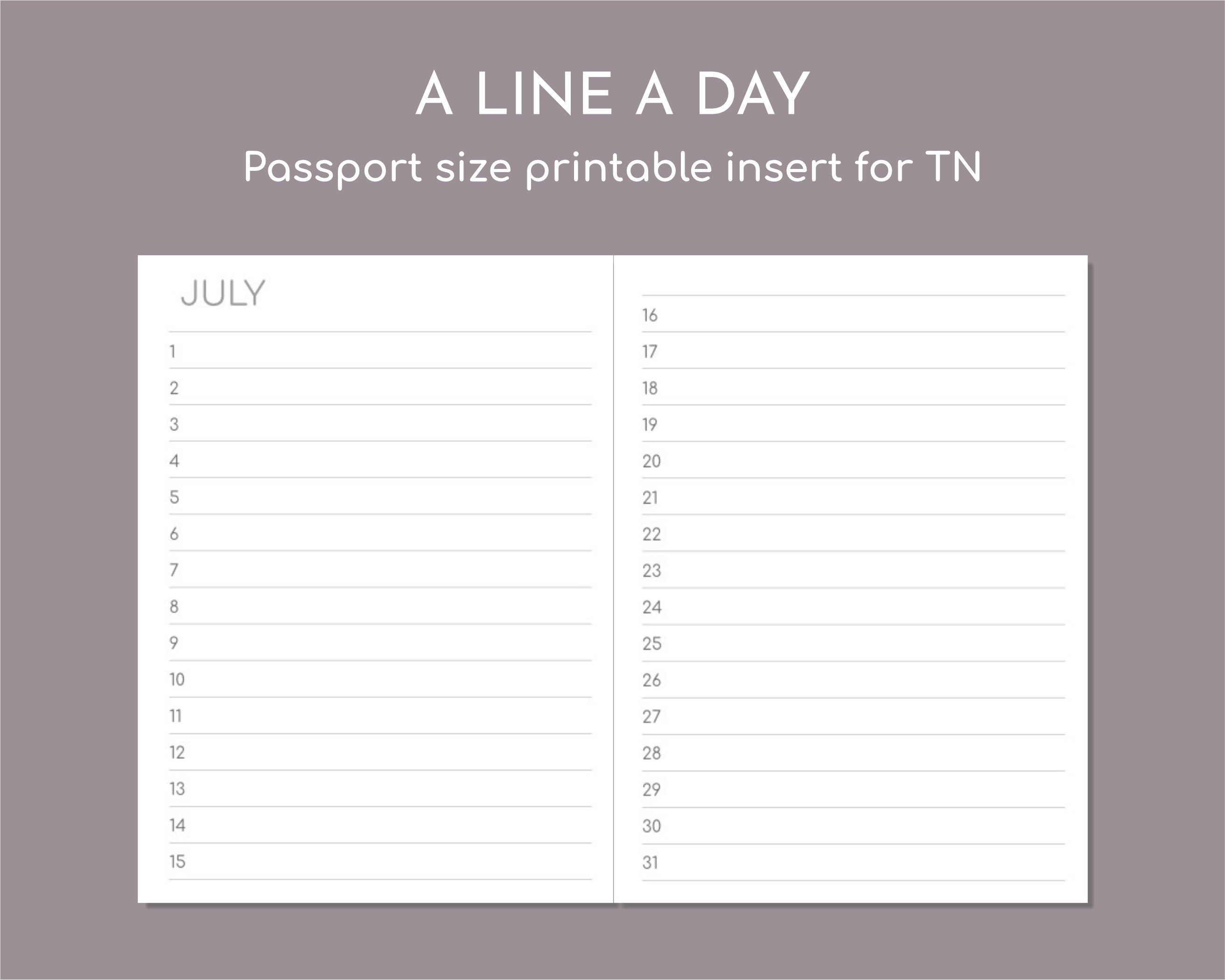 Birthday Diary Passport Size Printable Mini Journal Insert for TN - Etsy