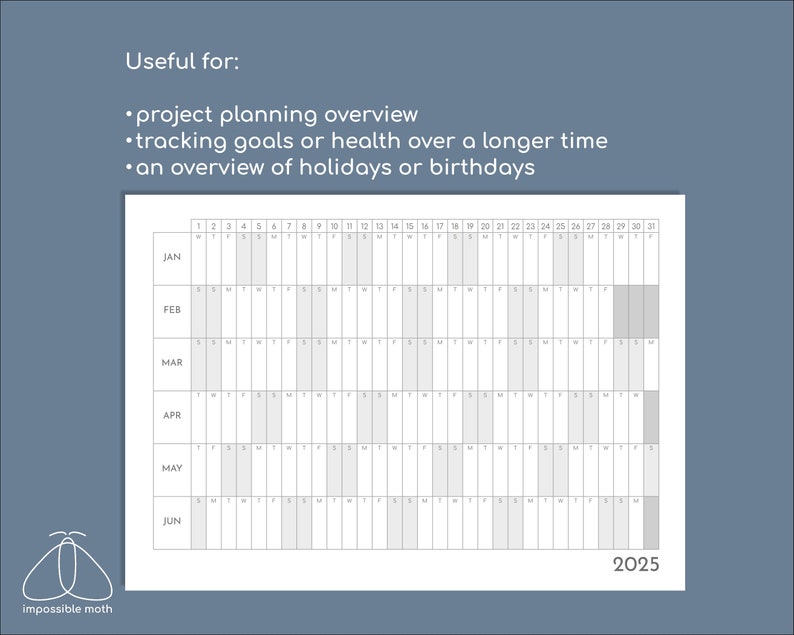 2025 Yearly Overview on 2 Page Printable Calendar, 6 Months per Page